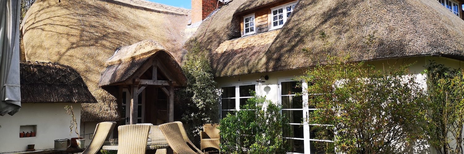 Full Re-Thatch (3d)